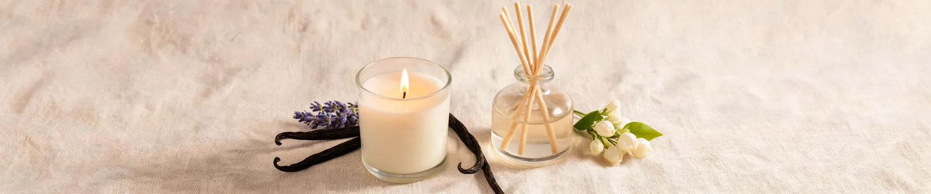 Paddywax article visual